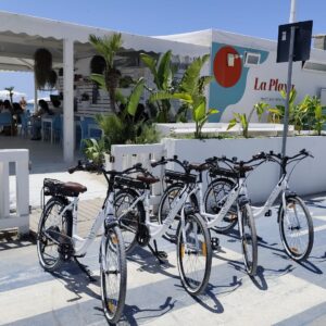 Bike rentals