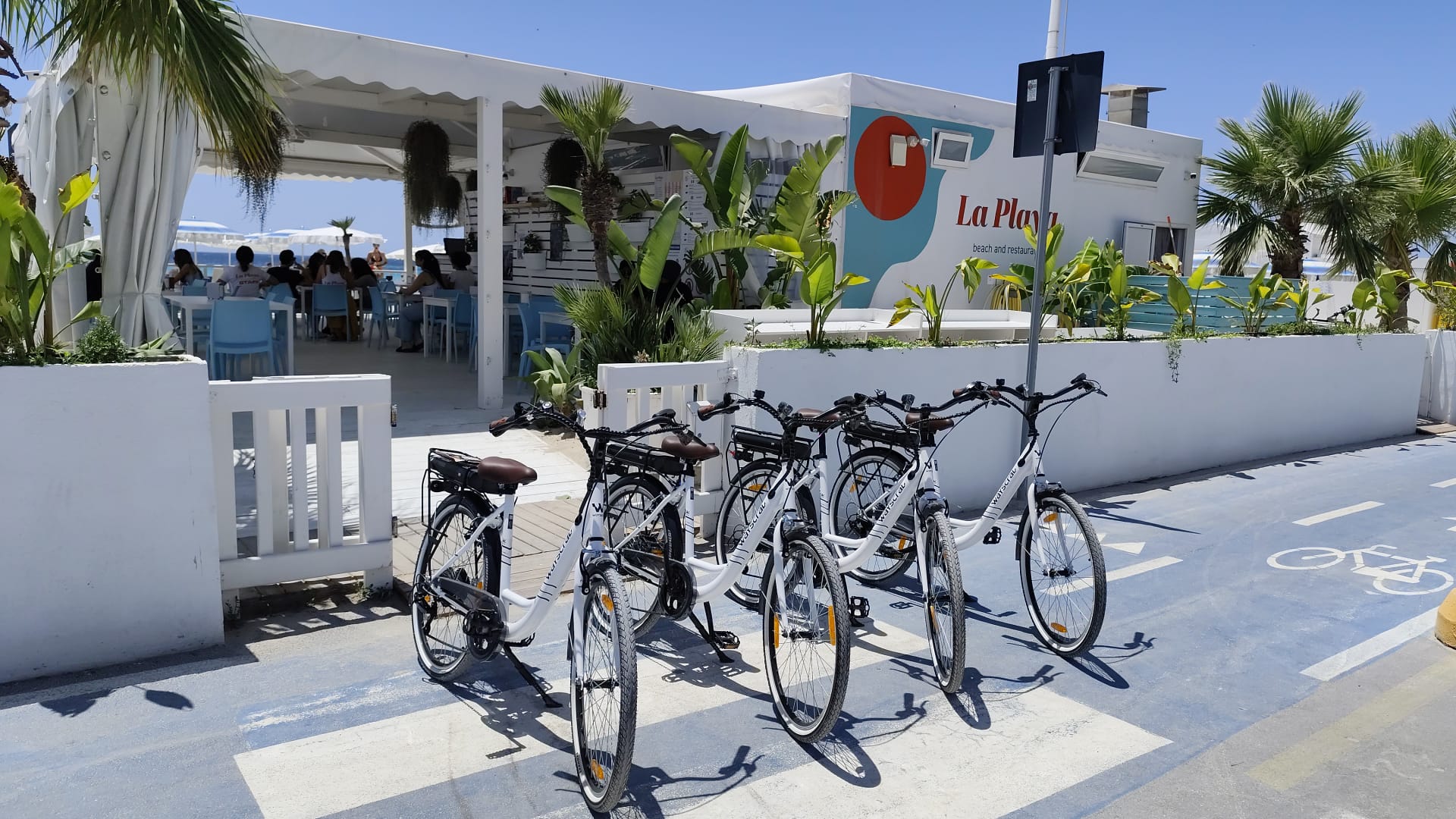 Bike rentals