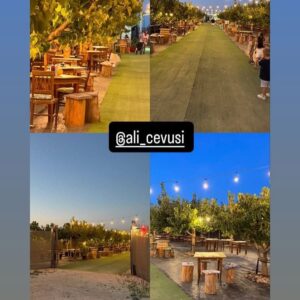 🎁 COUPON — A LI CEVUSI